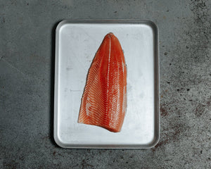 Ocean Trout, Side (Christmas)