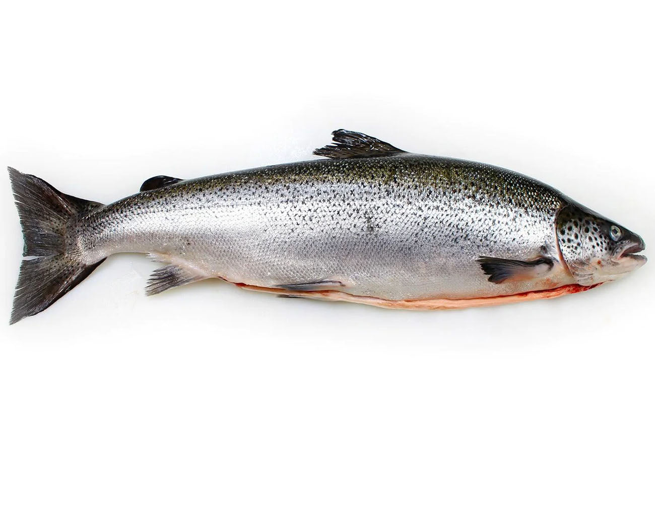 Whole Atlantic Salmon 4-5kg (Christmas)