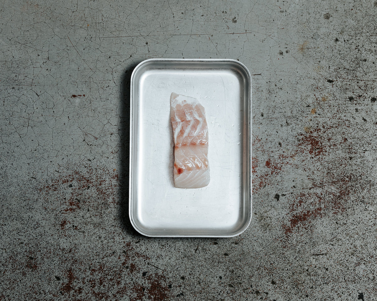 Pink Ling (Rock Ling) Fillet – The Fishmonger's Son