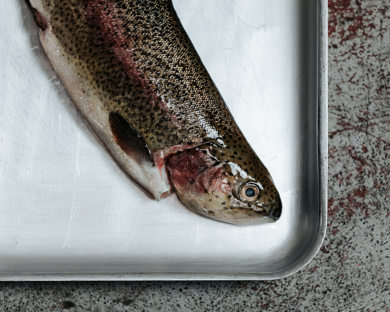 Rainbow Trout (Whole)