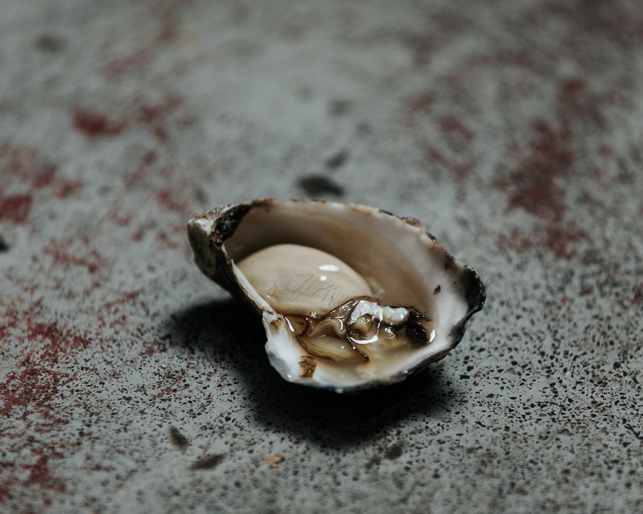 Rock Oysters, Shucked