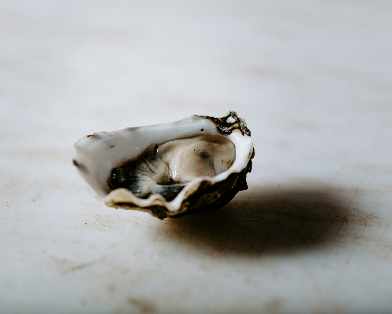 Pacific Oysters, Shucked