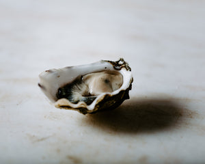 Pacific Oysters, Shucked (Christmas)