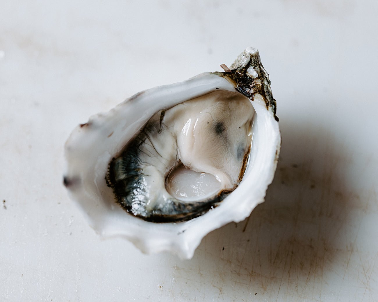 Pacific Oysters, Shucked