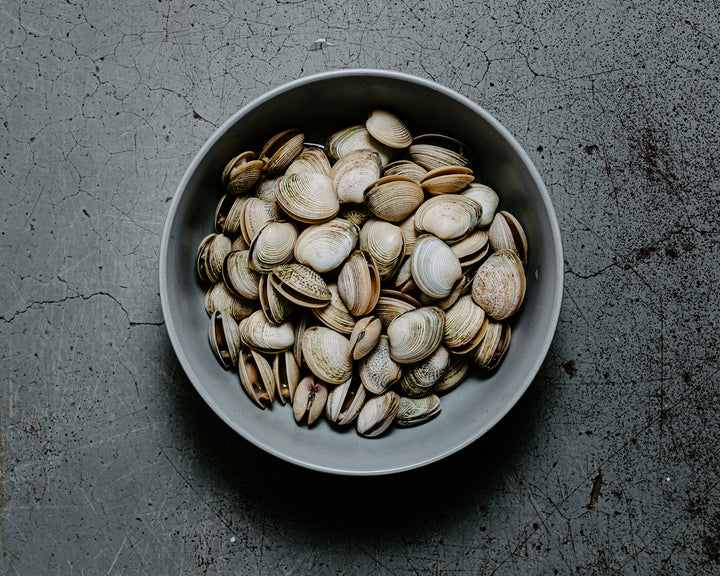 Vongole – The Fishmonger's Son